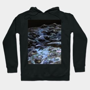 The Exuberance of Water Hoodie